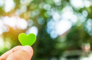 Hand hold little heart meaning feel love with green nature bokeh background.